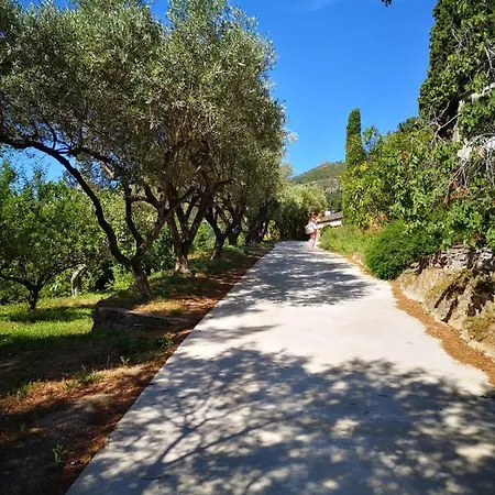 Milanu ゲストハウス