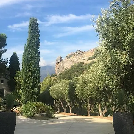 Milanu Oletta (Corsica)