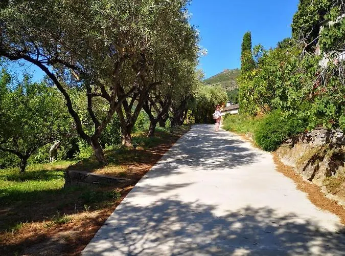 Milanu Affittacamere