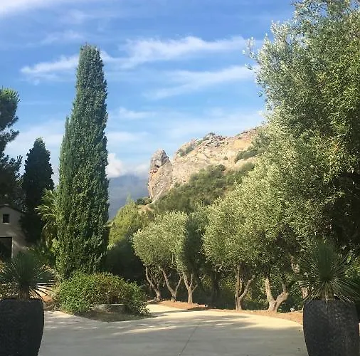 Milanu Oletta (Corsica)